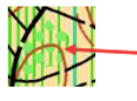 Symbol - Technical information
