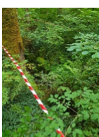 Karst areas - Stage 1