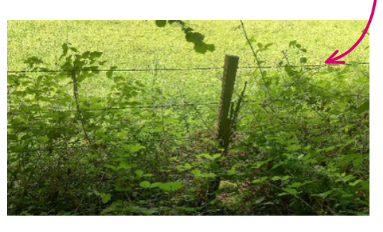 Fences - Stage 5