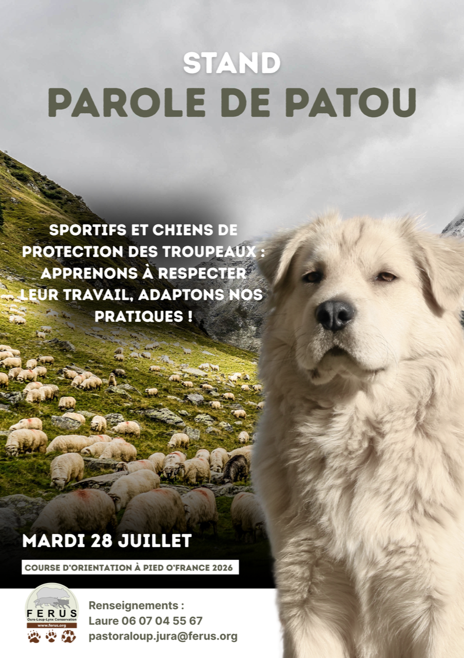 Paroles de Patou Jura